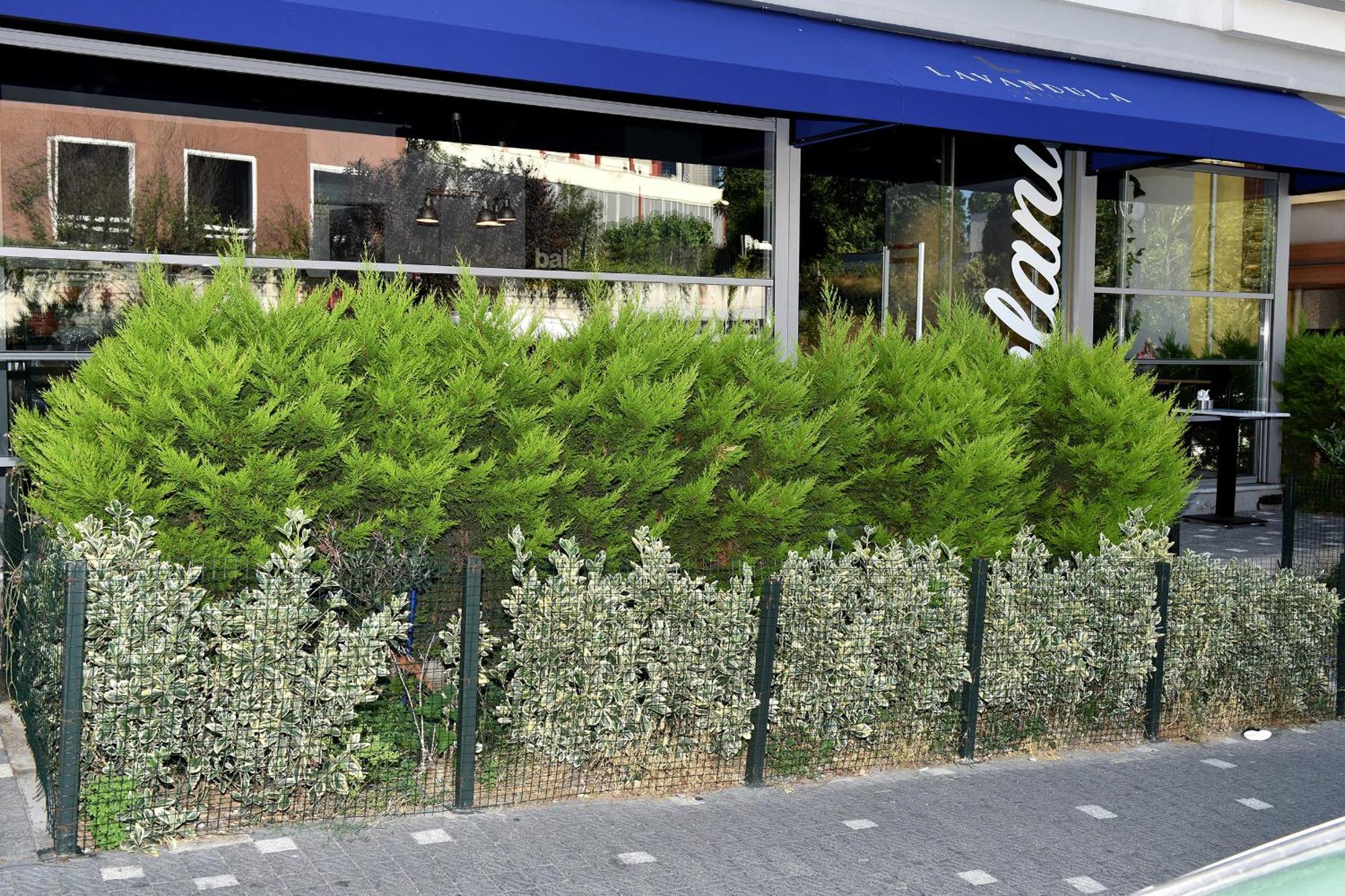 Levent Lavandula Hotel Istanbul Exterior foto